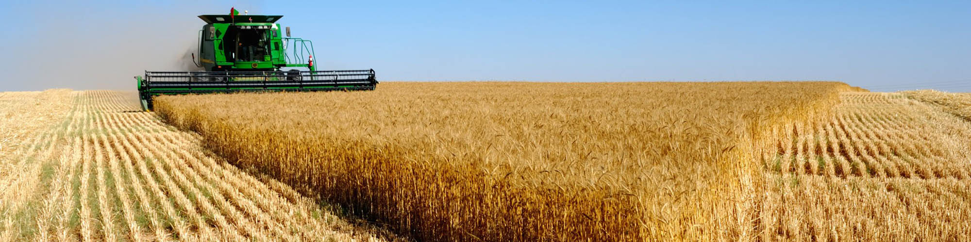 Agricoltura ed orto: prodotti, articoli,attrezzi, attrezzature e soluzioni.