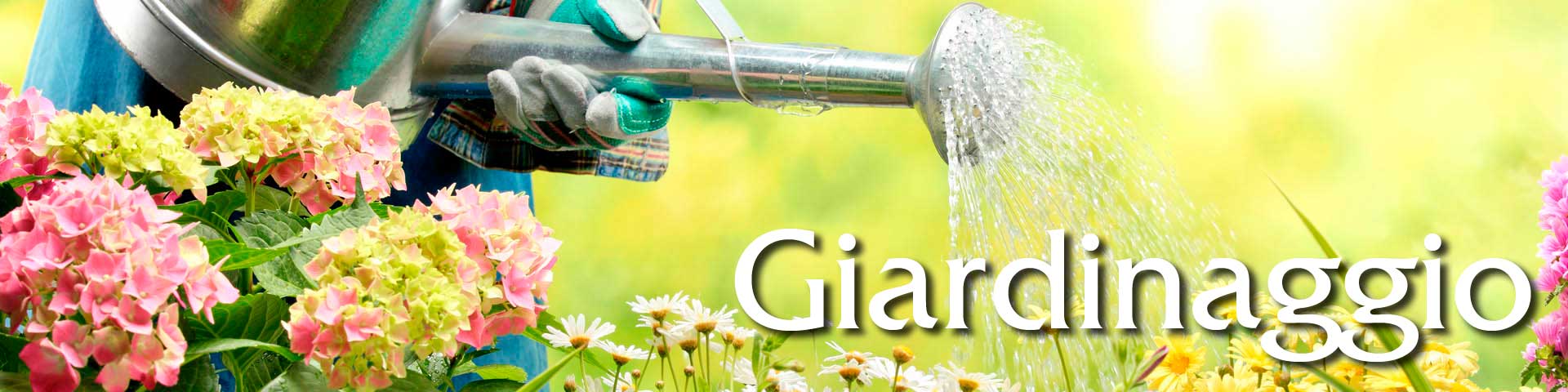 Giardinaggio vendita online - Attrezzature, attrezzi, prodotti e accessori per giardinaggio