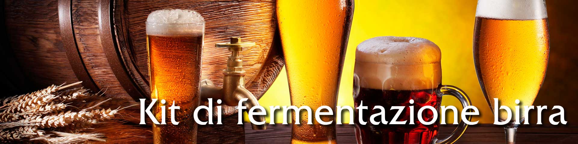 Vendita online kit di fermentazione birra fai da te in casa