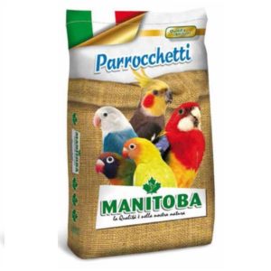 Miscuglio parrocchetti-manitoba