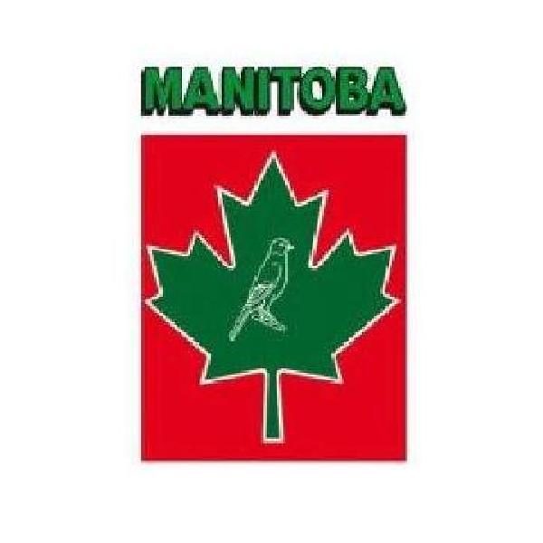 Semi di Cicoria della Manitoba