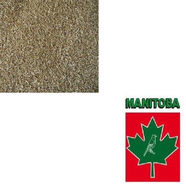Erba mazzolina manitoba 500g uso zootecnico Emporio della Natura