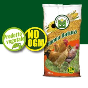 Pollo Bello mangime senza OGM della Raggio di Sole