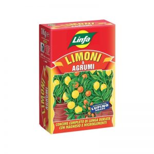 limoni-e-agrumi-kg-1 Linfa