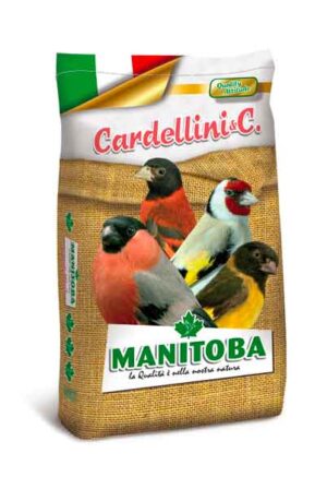 Cardellino_Fresh_Manitoba